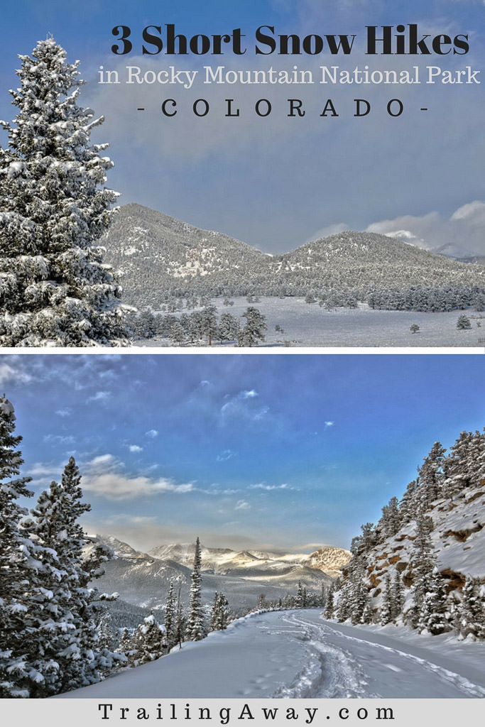 Top 3 Easy Hikes in Rocky Mountain National Park in Winter