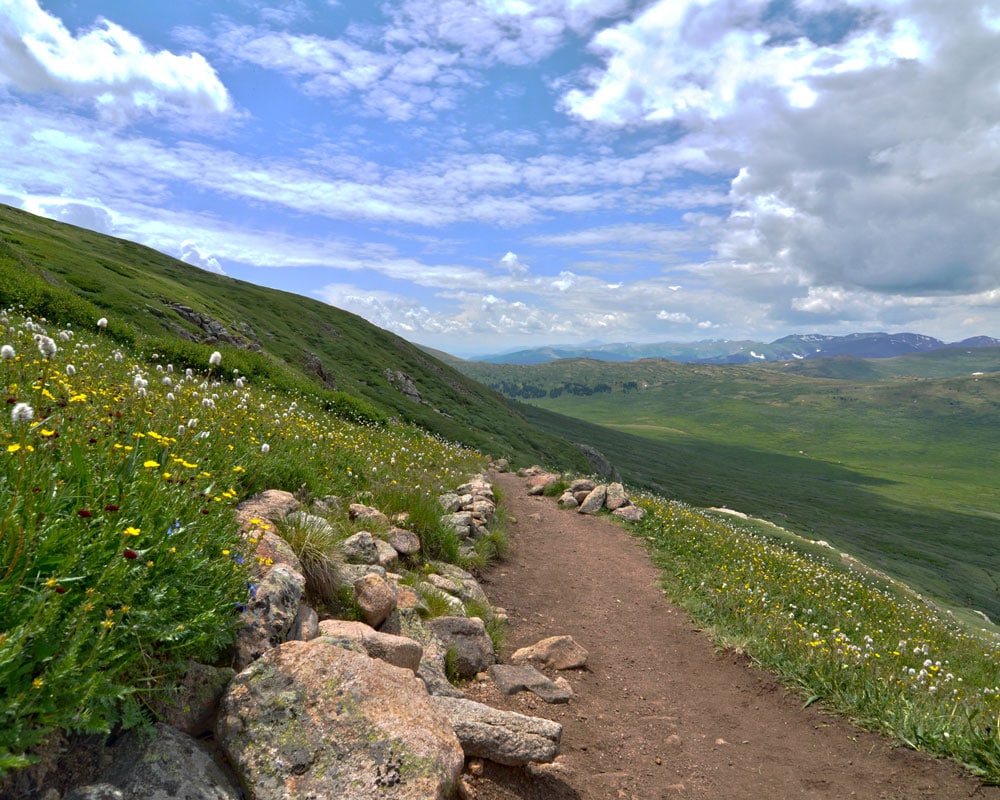 Most of the trail at the beginning of the hike to Mt. Bierstadt is pretty easy and well carved out.