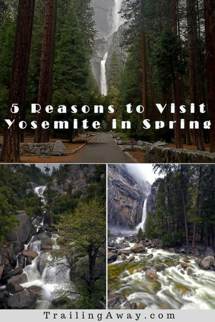5 Reasons to Visit Yosemite in Spring