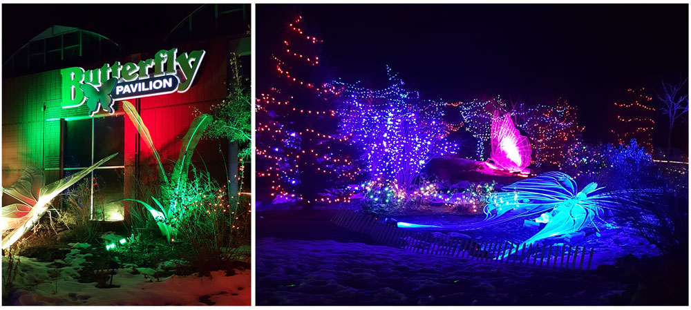 The Butterfly Pavilion Living Lights event during Christmas