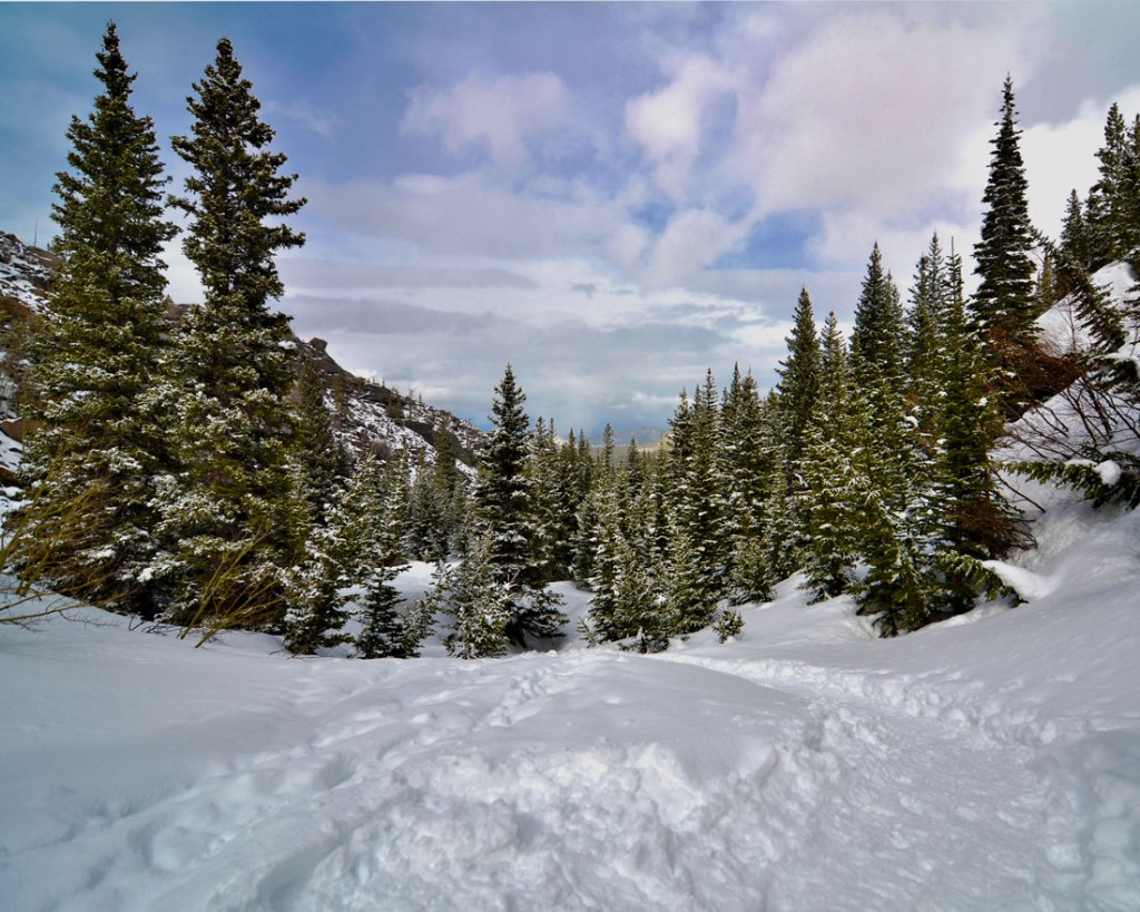 Winter Scene in Rocky Mountain National Park covered in snow