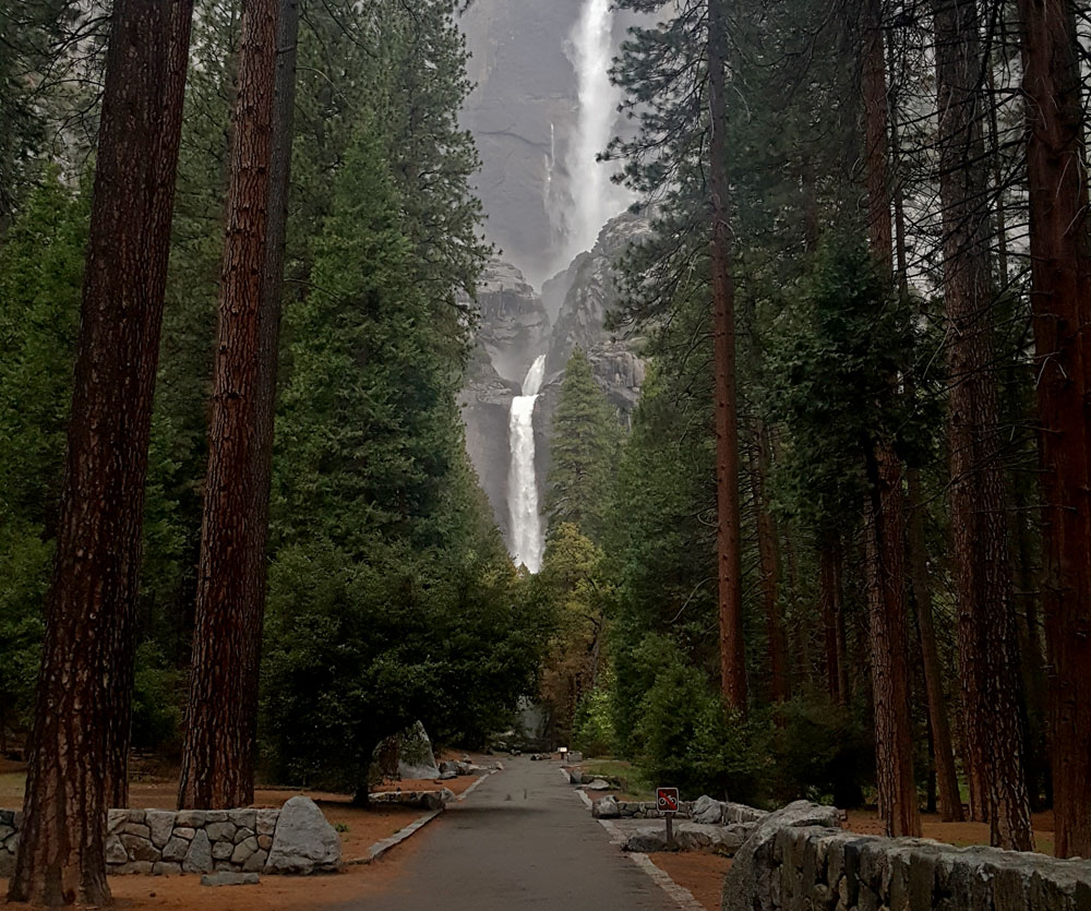 Tree lined path headed towards Yosemite Falls