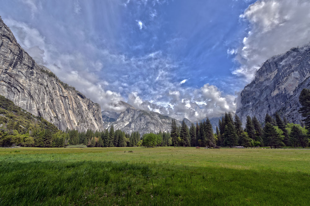 Beautiful green field and the mountains of Yosemite surrounding
