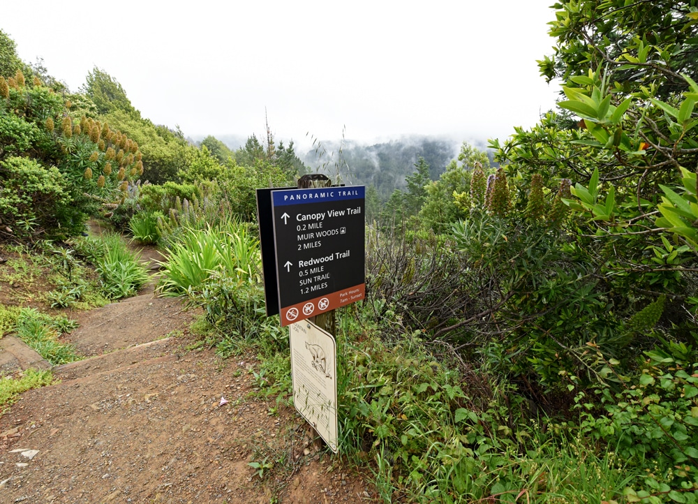 muir woods trail sign