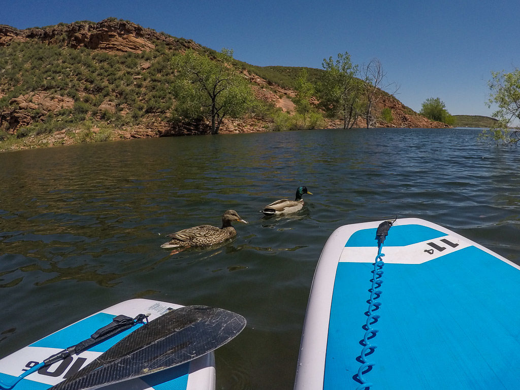 paddleboarding on horsetooth reservoir in colorado