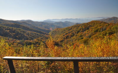 10+ Best North Carolina Blue Ridge Mountains Fall Stops