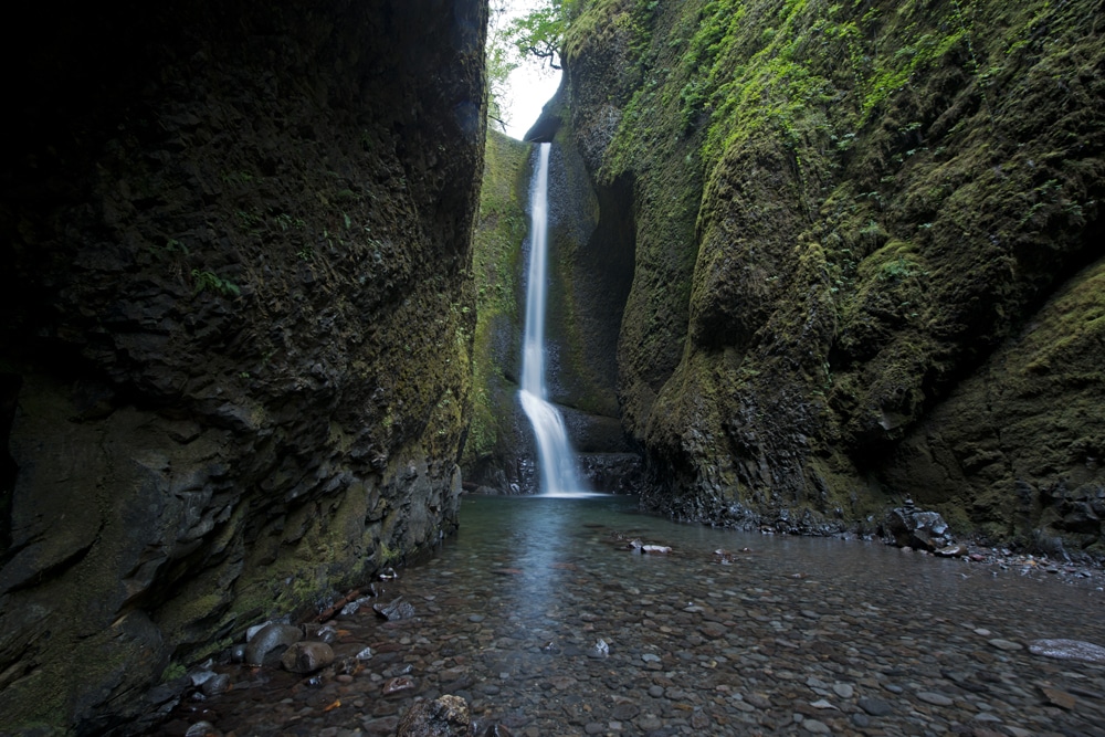 View of Lower Oneonta Falls in the Oneonta Gorge