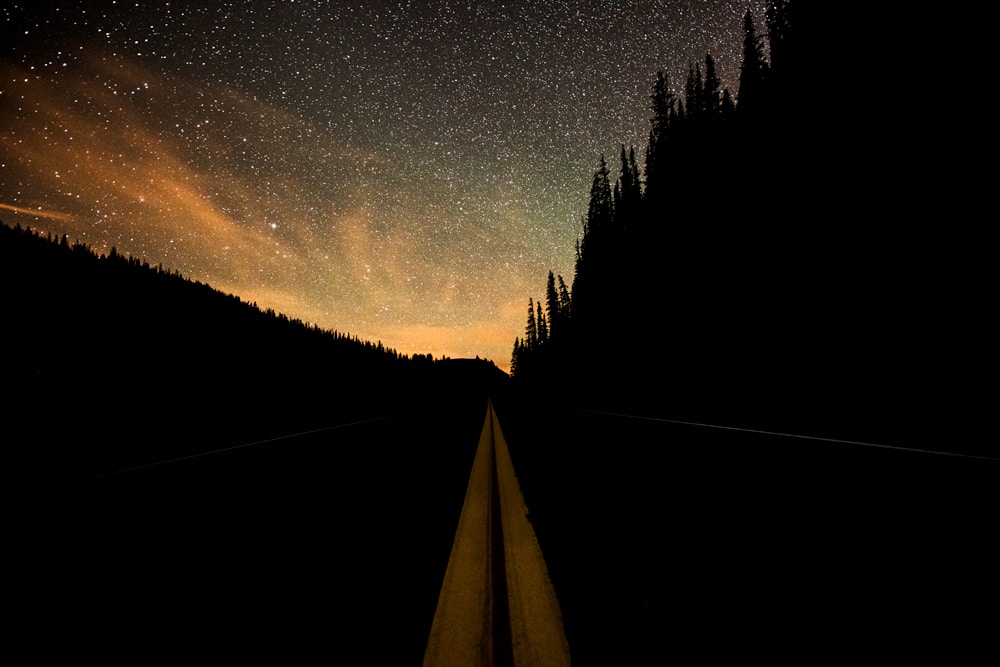 Yellow lines of the street with the stars in the night sky on Trail Ridge Road