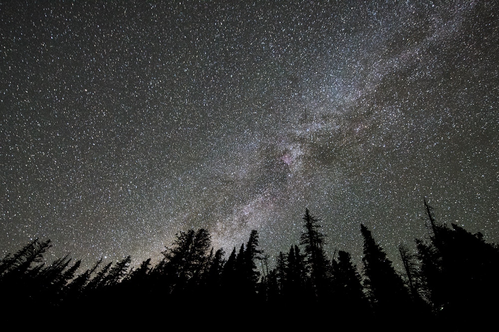 Silhouette of pine trees with the milky way behind them while stargazing in Rocky Mountain National Park off of Trail Ridge Road