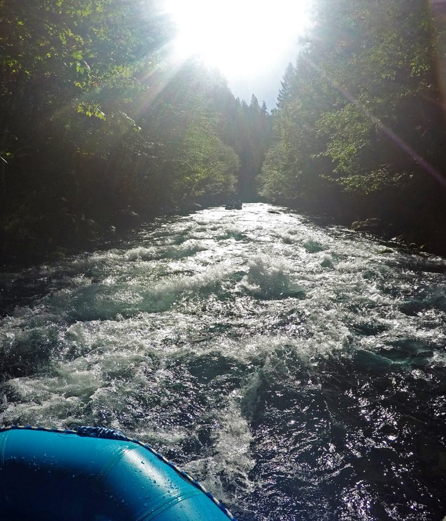Looking down river at some rapids on the White Salmon River