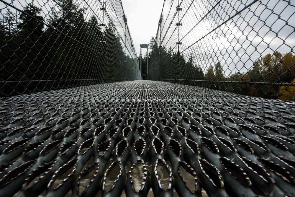 Showing the detail and grip on the Top Bridge