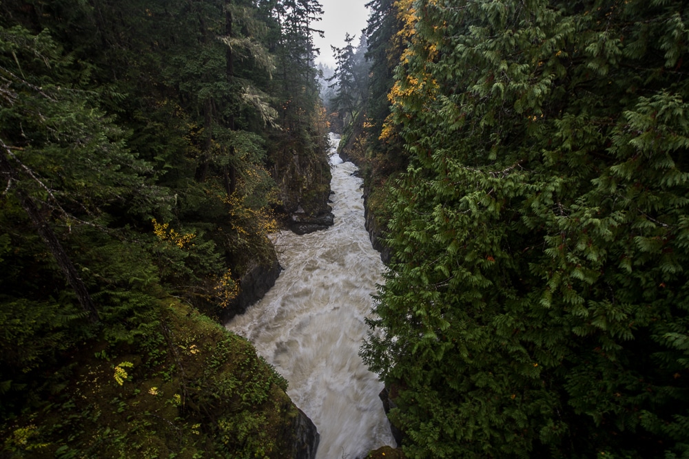 The powerful Vancouver Island waterfall of Englishman River Falls flowing through a heavily treed canyon