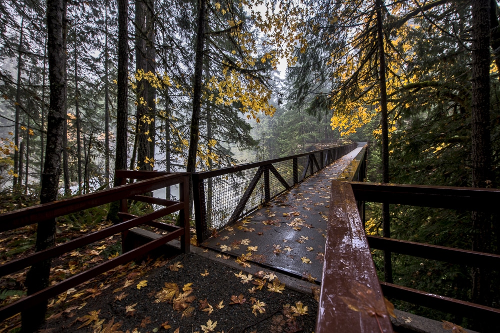 Bridge going over Englishman River Falls with autumn leaves