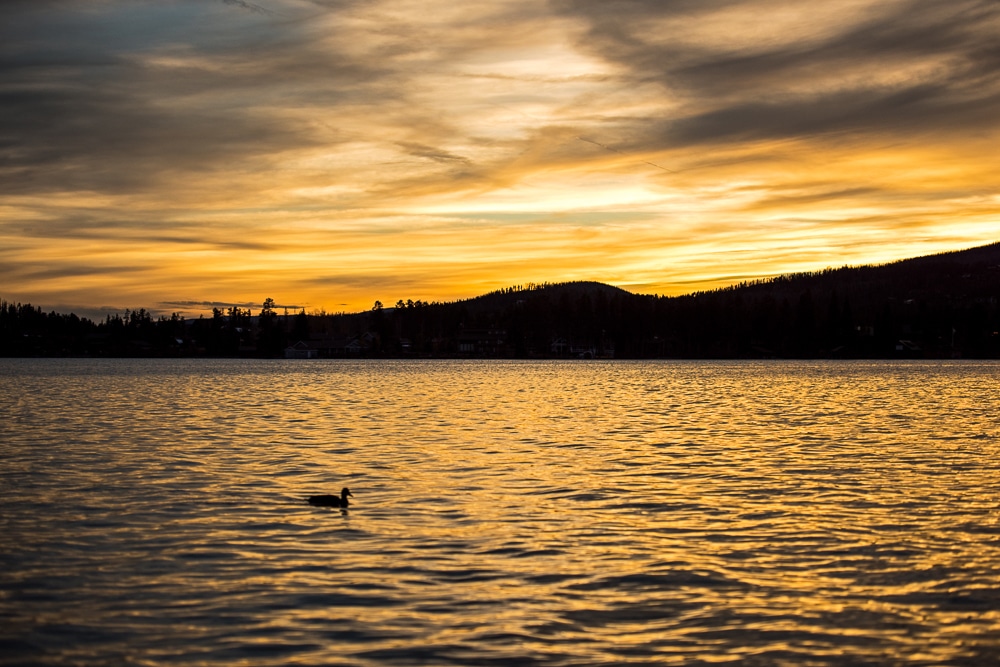 Sunset at Grand Lake by Gene Stover Lakefront Park with a duck swimming in the water