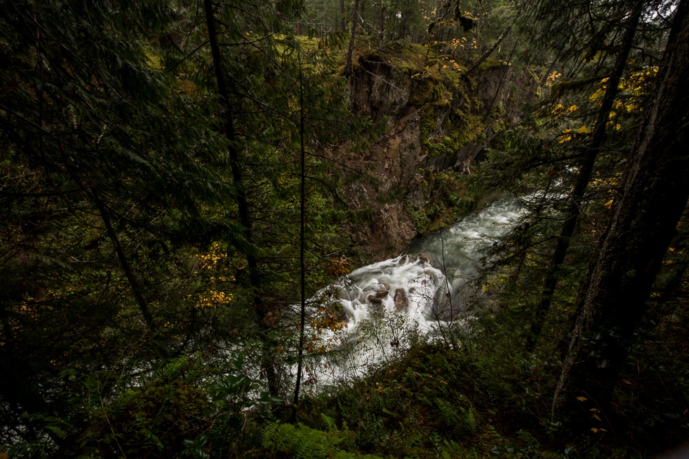 River flowing below the trail at Little Qualicum Falls