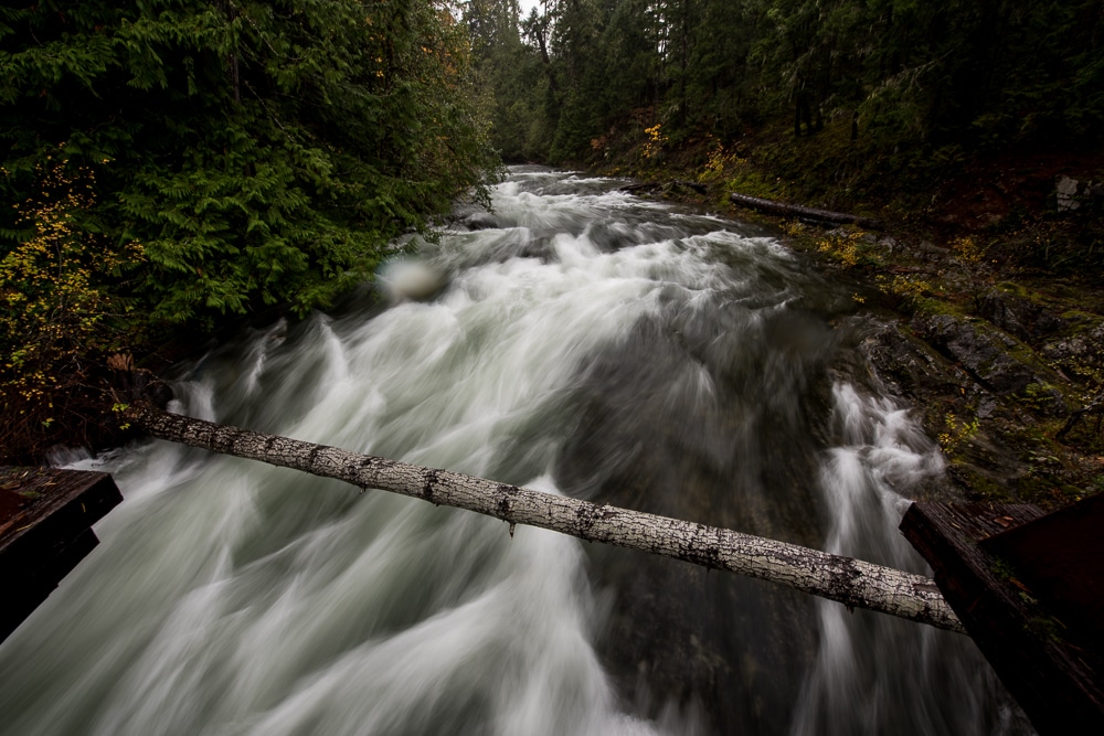 Little Qualicum Falls flowing under a bridge with a tree laying across the river