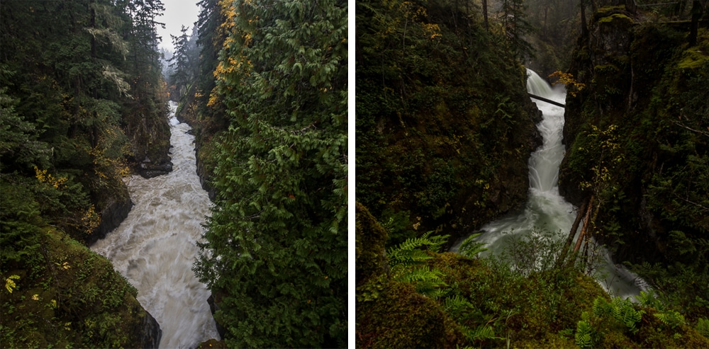 Englishman River Falls and Little Qualicum Falls