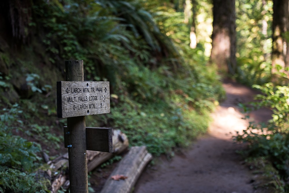 Sign post on the Multnomah-Wahkeena Loop trail showing directions and distances to Larch Mountain Trail and others