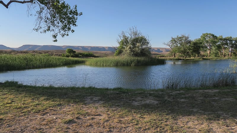 camp washington ranch pond