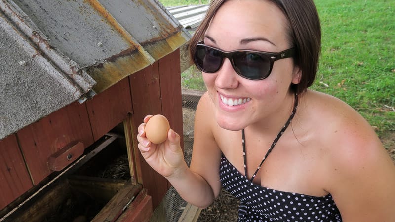 Brooke collecting eggs on the South Carolina farm