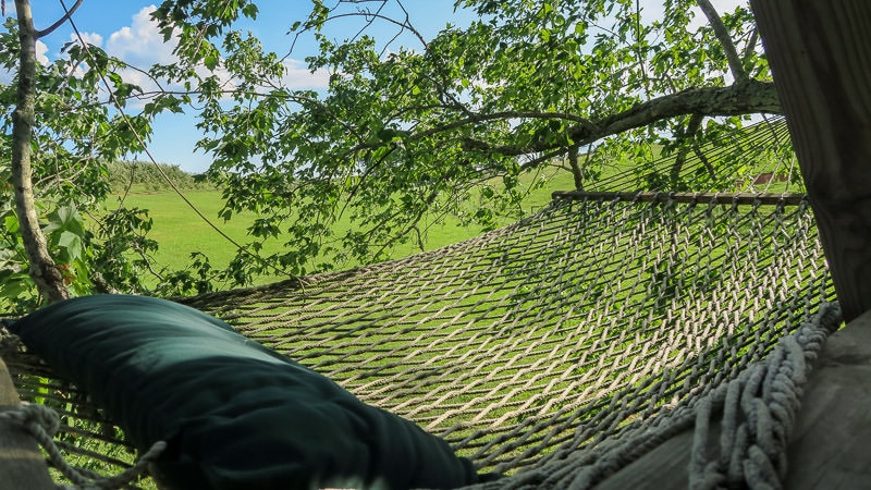 Hammock that is at the top of the treehouse