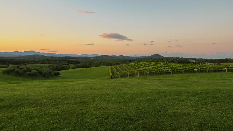 Beautiful sunset of the vineyard with the Blue Ridge mountains in the background