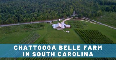 Views & Booze at Chattooga Belle Farm: A South Carolina Hidden Gem