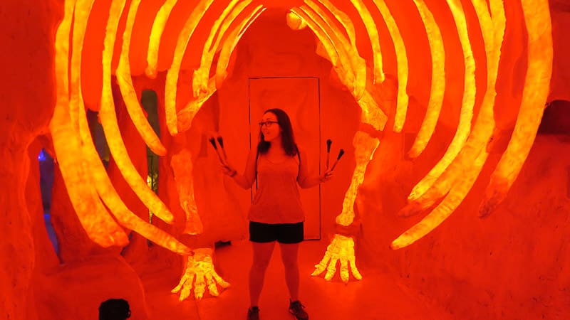 meow wolf new mexico