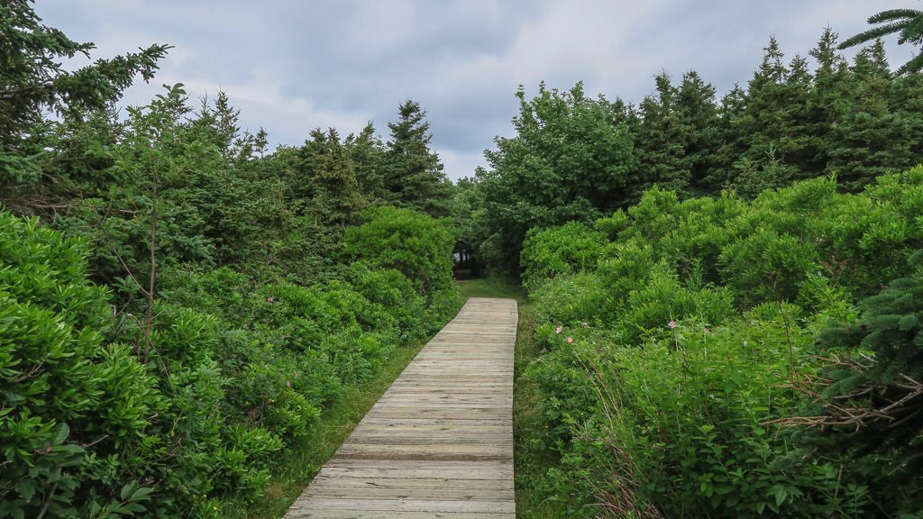 Small boardwalk on the Le Chemin du Buttereau