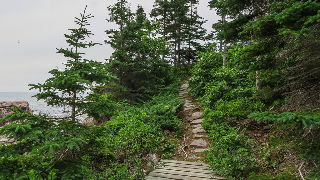 Stairs as part of the coastal trail