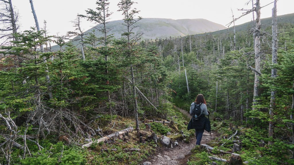 Brooke hiking a wooded section of the trail to Gros Morne Mountain