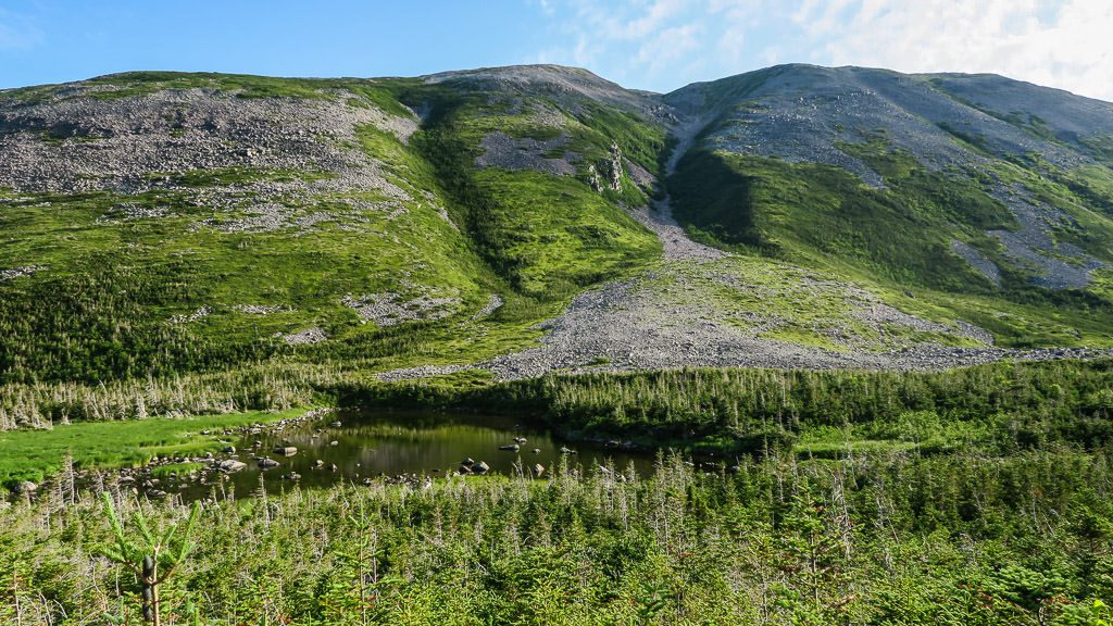 Looking up towards Gros Morne Mountain from the Overlook