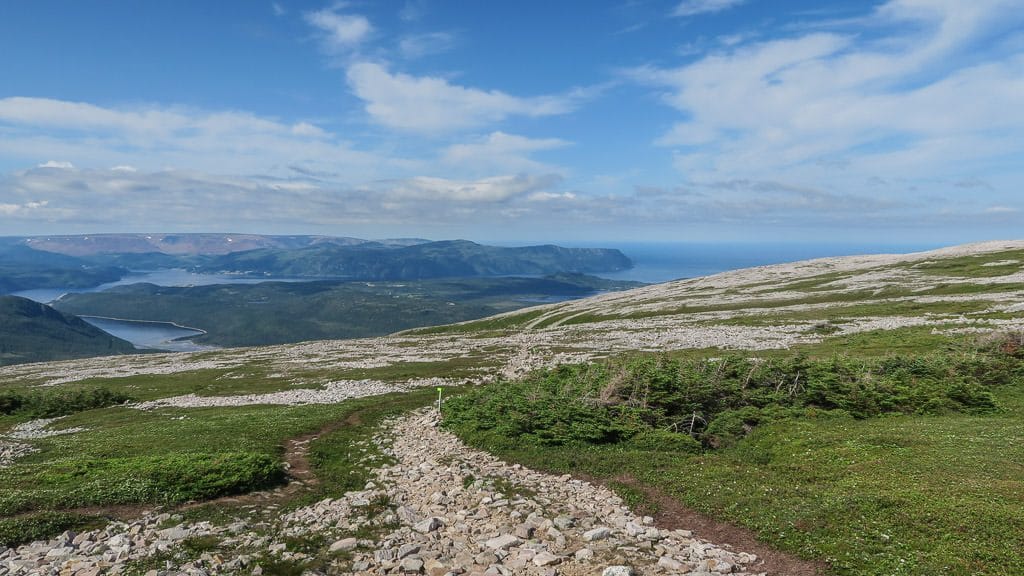 Rocky trail atop Gros Morne Mountain with patches of green grass and shrubs
