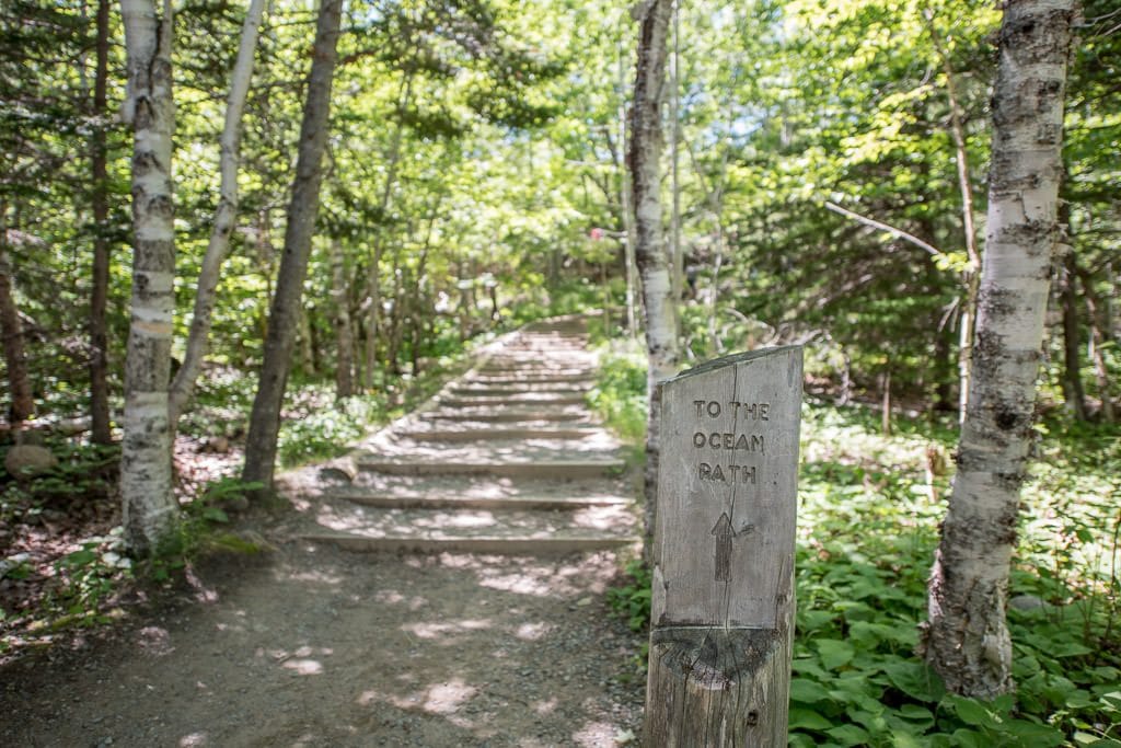 Sign and trail to Ocean Path Trail in Acadia National Park