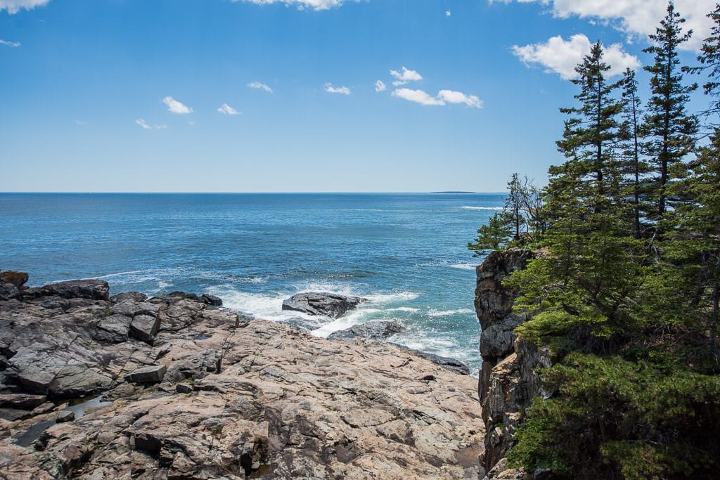 Blue sky day with tree lined cliff and ocean in Acadia National Park