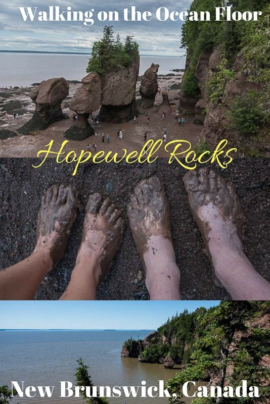 Walking on the Ocean Floor at Hopewell Rocks: One of the BEST Places to Visit in New Brunswick Canada