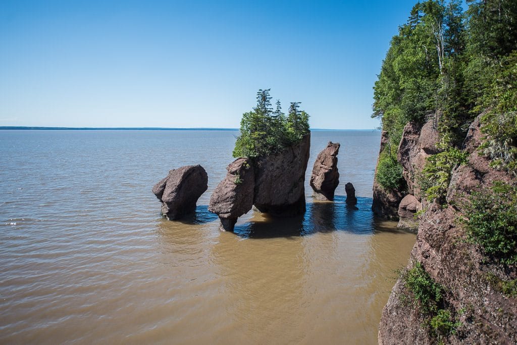 High tide at Hopewell Rocks, can't even see the muddy ground