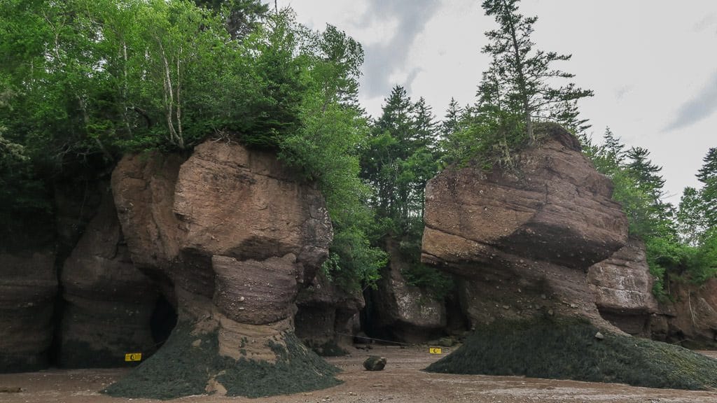 The Tides at Hopewell Rocks are some of the worlds largest