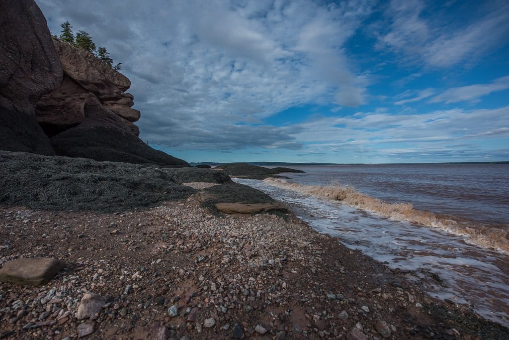 Some of the shore line at hopewell rocks in new brunswick Canada