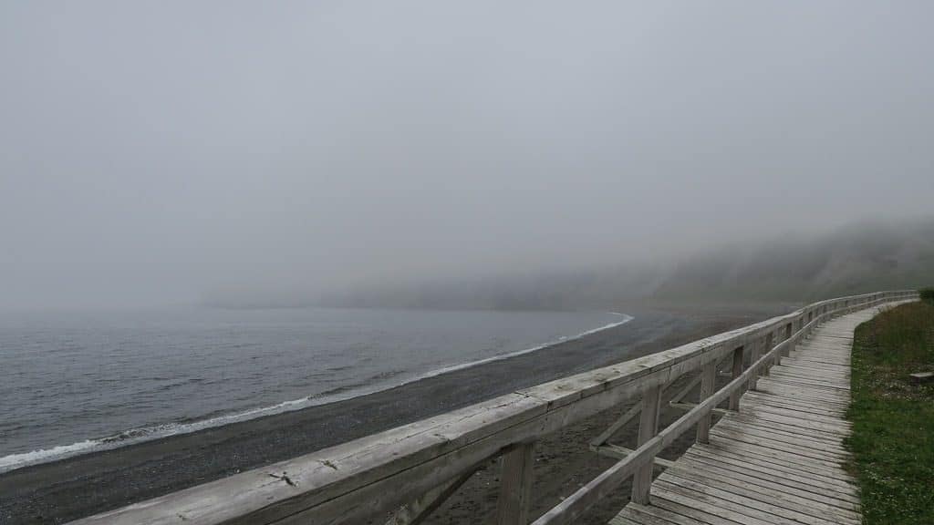 Fog over the beach in Trout River
