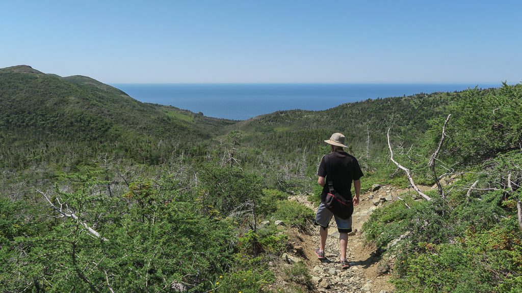 Buddy hiking and enjoying the views at Tablelands in Gros Morne National Park