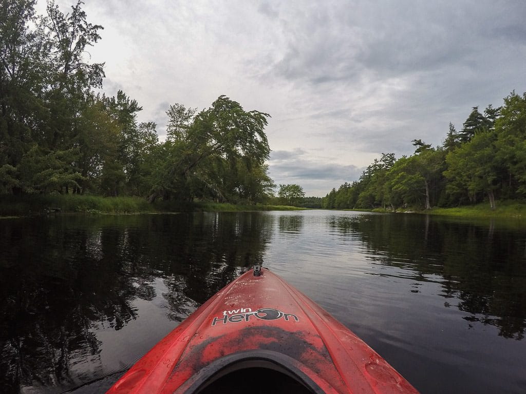 Kayaking through calm waters surrounded by lush green trees in kejimkujik