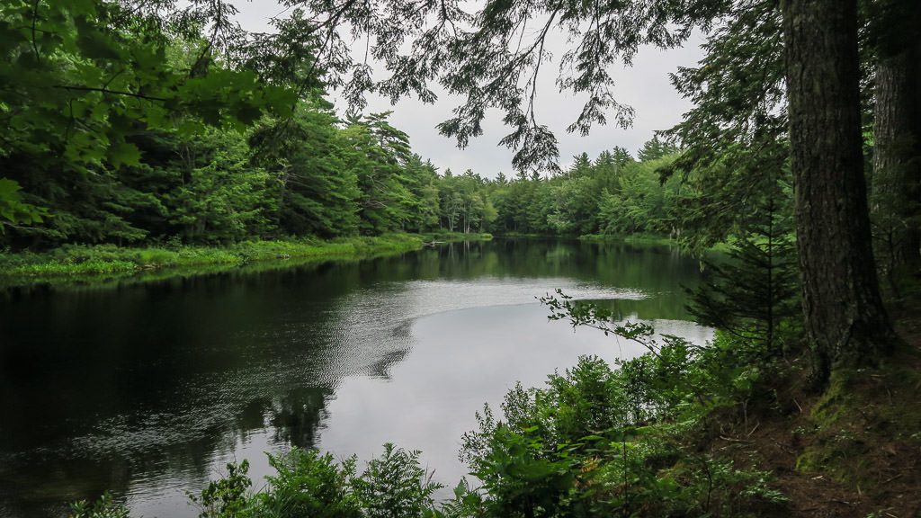 some of the calm waters surrounded by green trees along the trails in kejimkujik national park