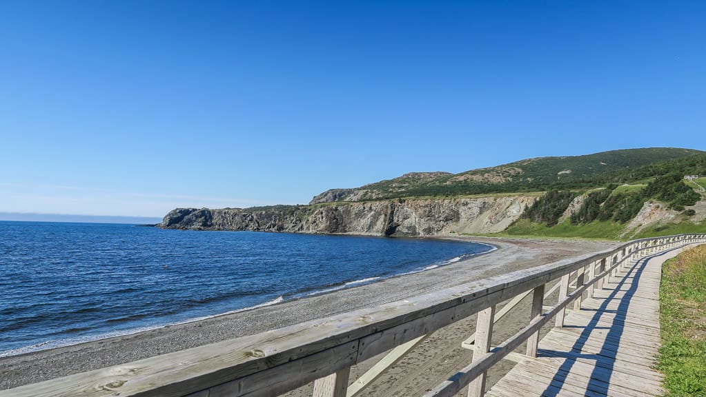 Boardwalk within Trout River that leads you up to Eastern Point Trail