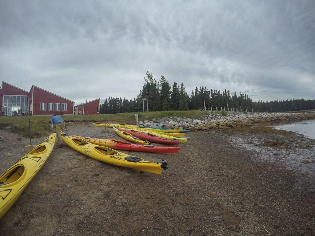 Kayaks on the shoreline near the Terra Nova Visitor's Center