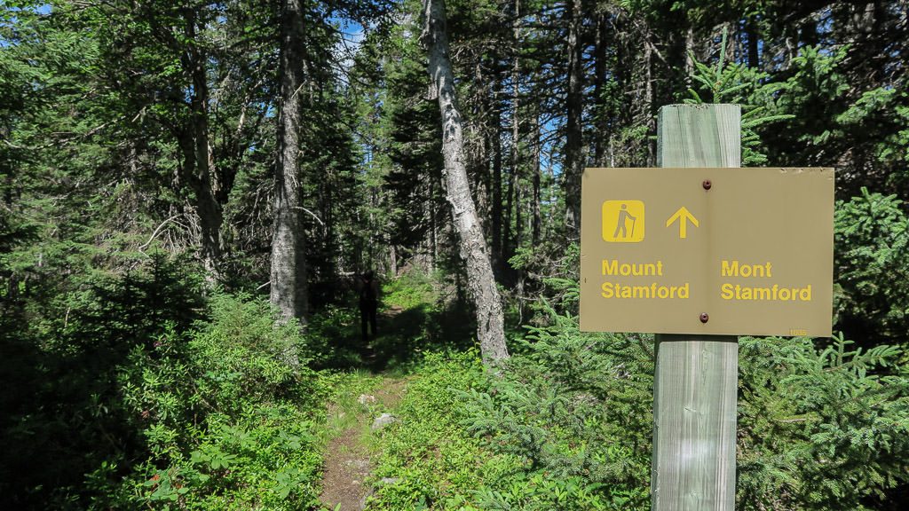 Trail sign pointing us down the overgrown trail for Mount Stamford