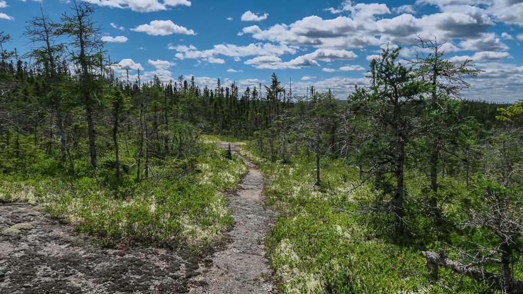 The beautiful trail from Mount Stamford on the way back to the dock