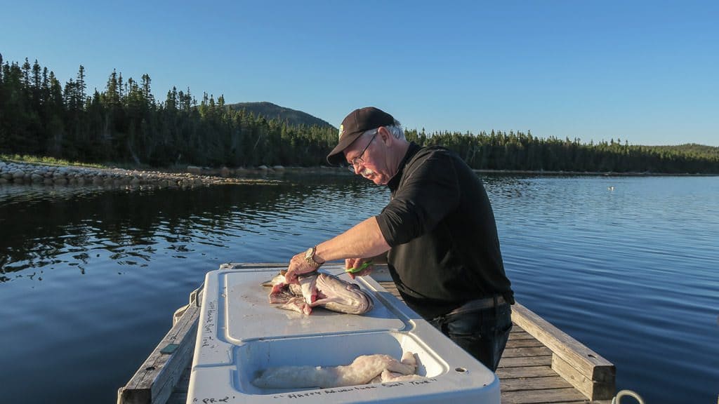 Chuck filleting some of the fresh caught Cod while fishing in Newfoundland
