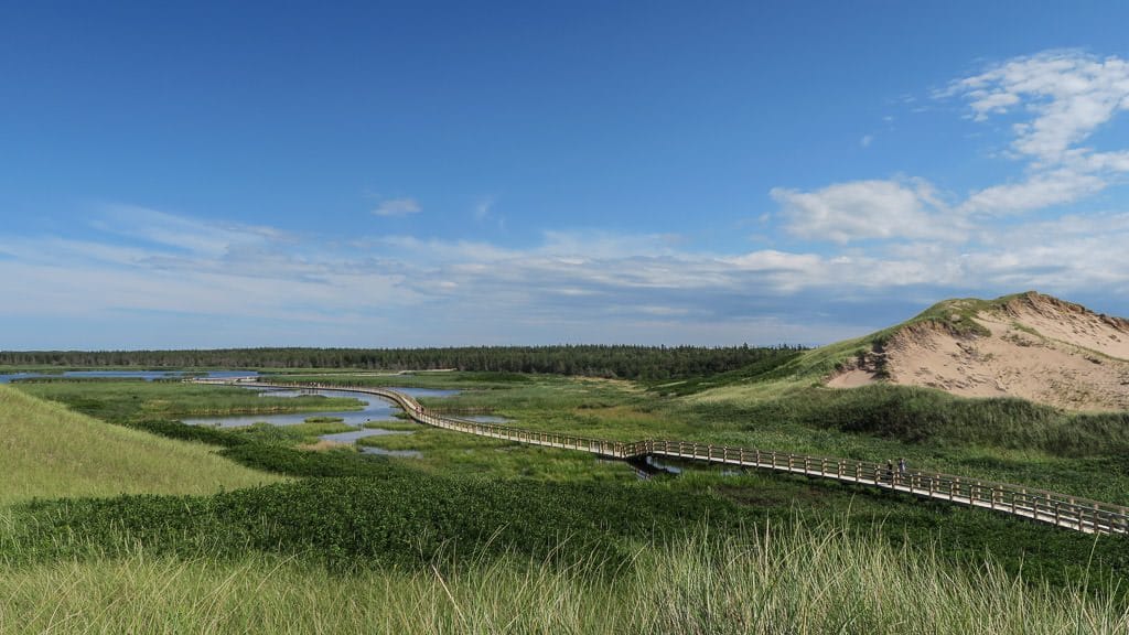 greenwich dunes in Prince Edward Island