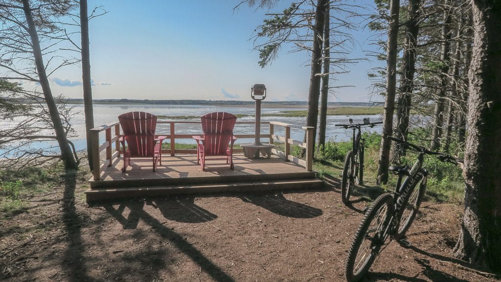 Mountain bikes set up against trees next to a lookout on the Robinson's Island Trail System